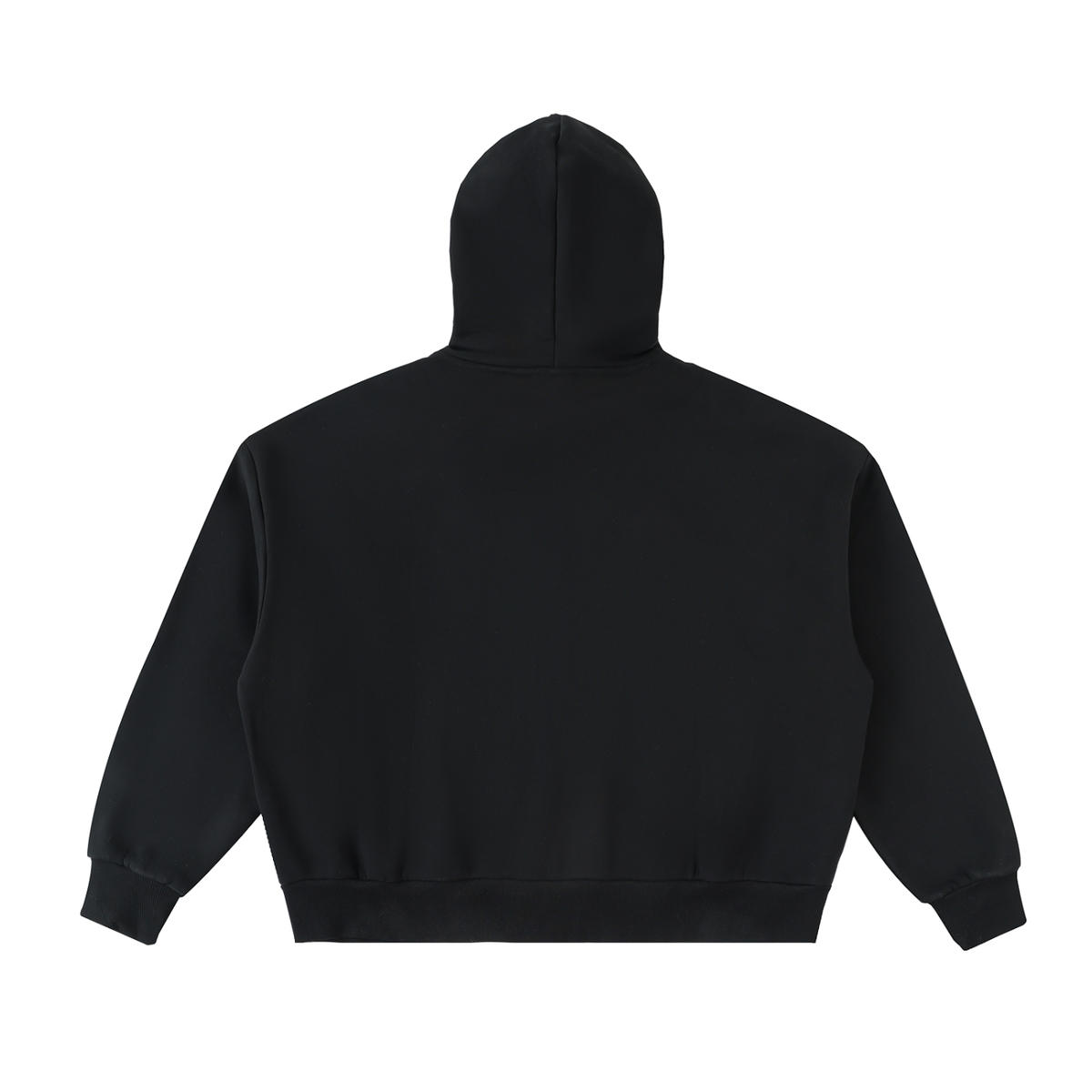 DISASTER WORLD FULL-ZIP BOXY HOODIE